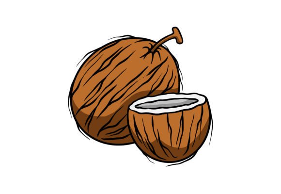 Coconut Vector Fruit Clipart