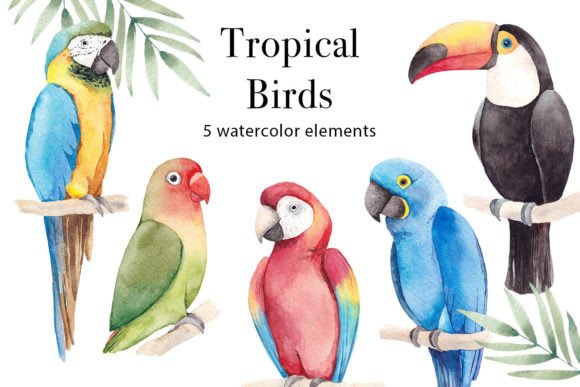 Watercolor Tropical Birds Clipart